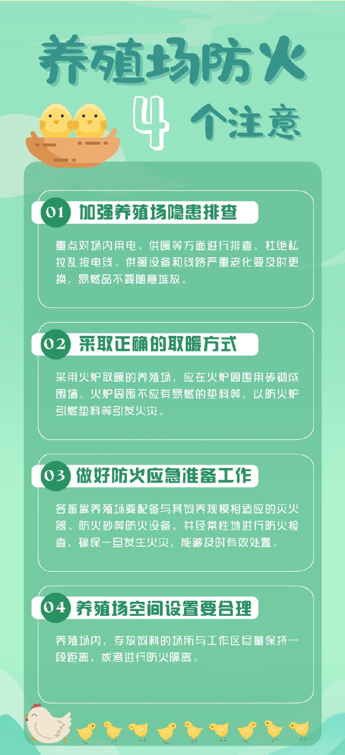 1200只鸭子一夜消失！凶手竟是TA？