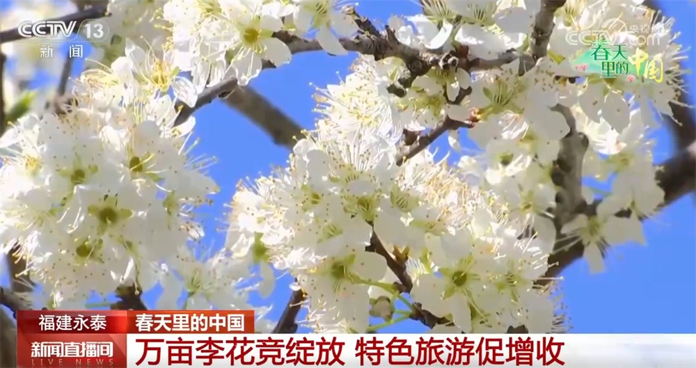 春天里的中国万物蓬勃绘就锦绣画卷 特色文旅展“新”颜 春天里的中国万物蓬勃绘就锦绣画卷 特色文旅展“新”颜