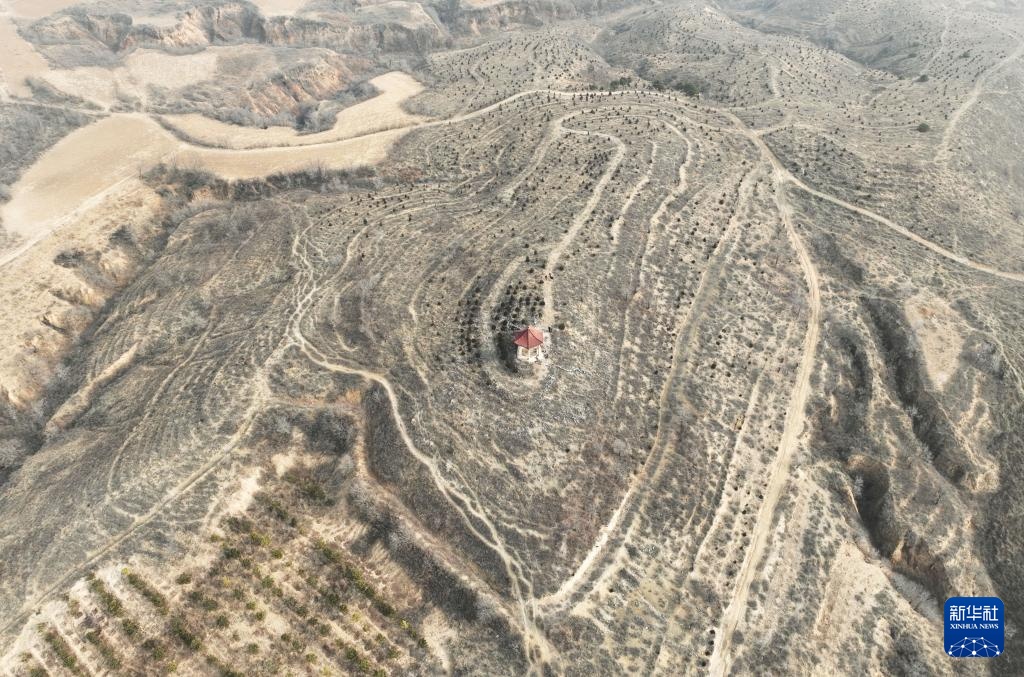 辽宁朝阳:调查红山文化遗迹 辽宁朝阳:调查红山文化遗迹