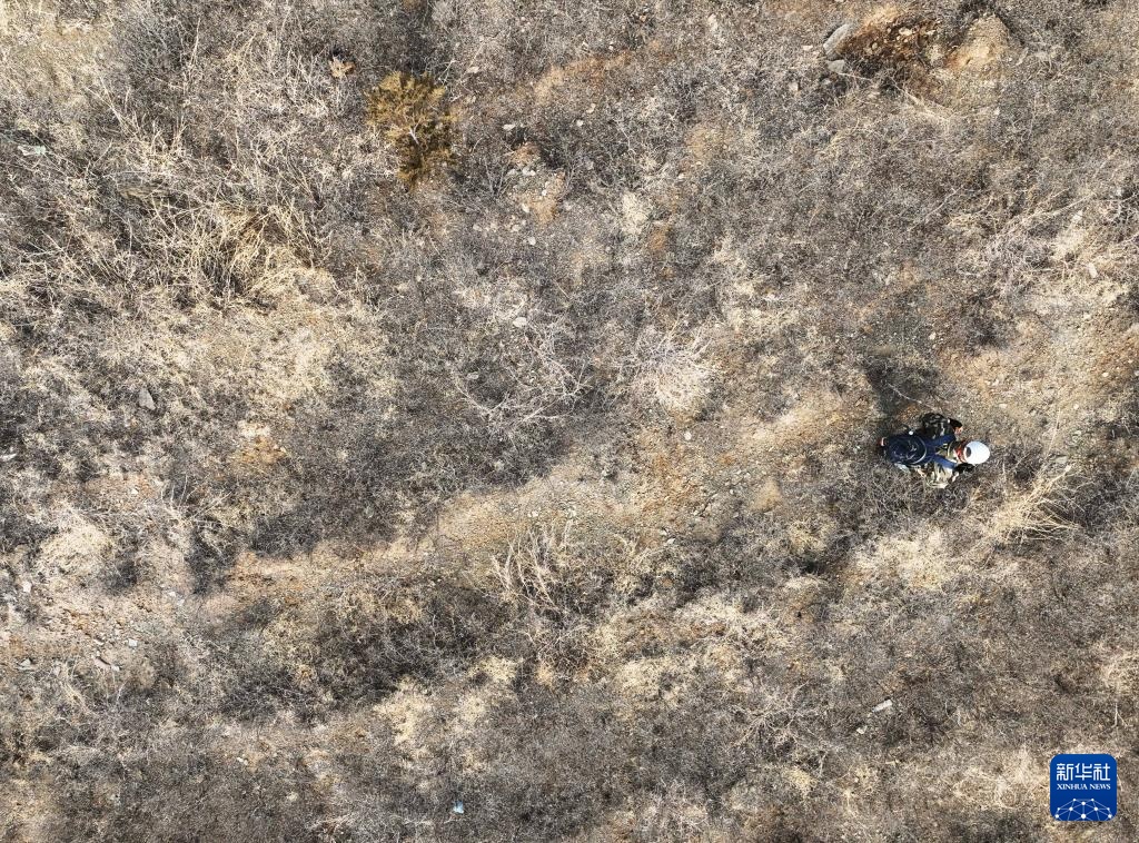 辽宁朝阳:调查红山文化遗迹 辽宁朝阳:调查红山文化遗迹