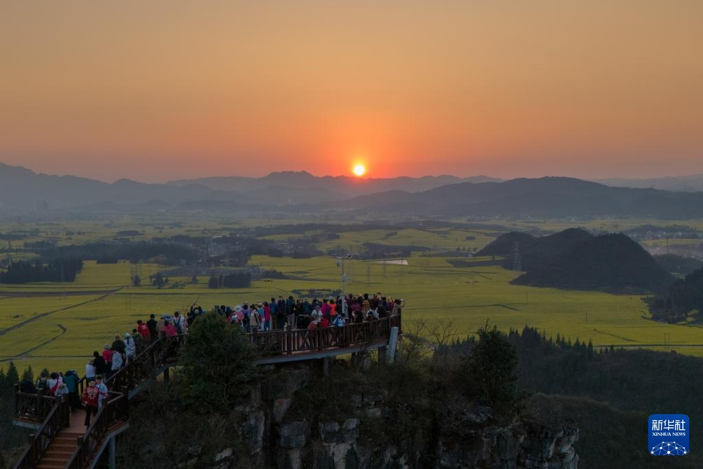 云南罗平:油菜花开春意浓 云南罗平:油菜花开春意浓
