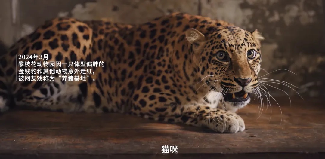 最新画面曝光！“申公豹”变得认不出了，园方回应