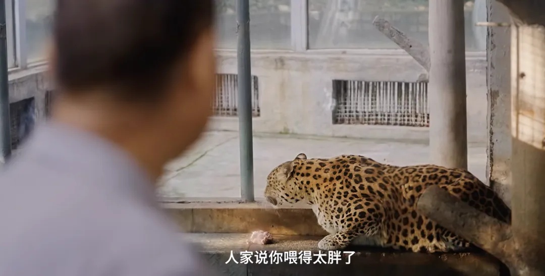 最新画面曝光！“申公豹”变得认不出了，园方回应