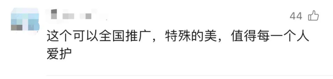 看不到色彩的他们,如今走在了彩虹上…… 看不到色彩的他们,如今走在了彩虹上……