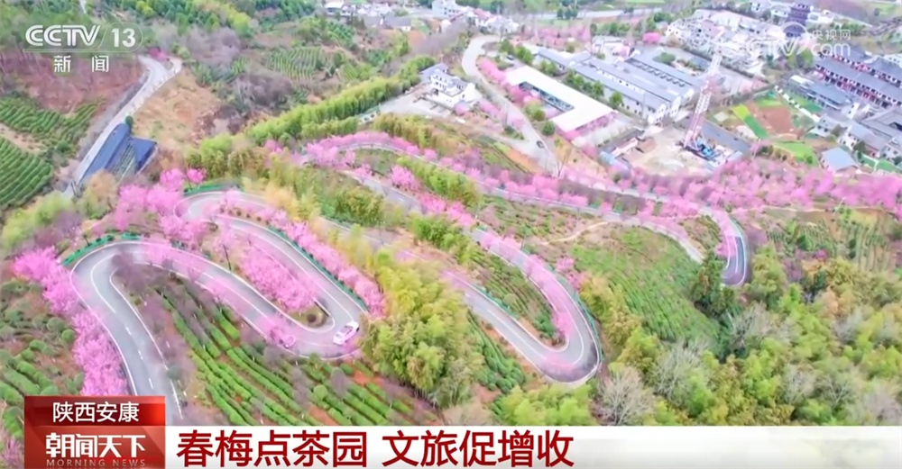 “赏花游”“文化游”“滨海游”热力涌动 文旅融合新业态激活发展新动能