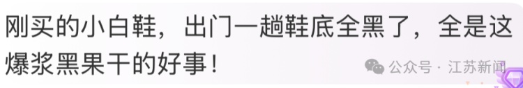 当心！近期江苏街头大量出现紫黑色的香樟树籽，沾上果浆很难清洗