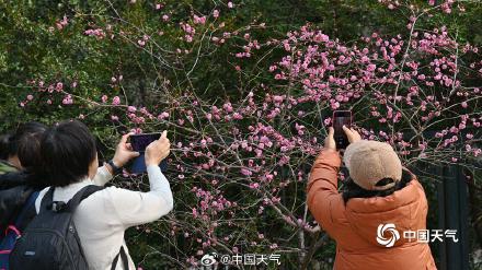 春色如画 北京的春天正加速赶来