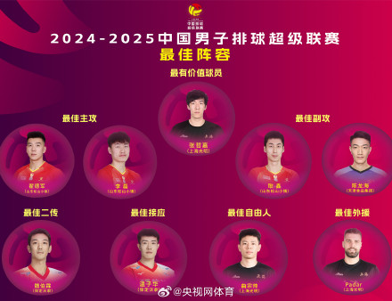 男排超级联赛最佳阵容