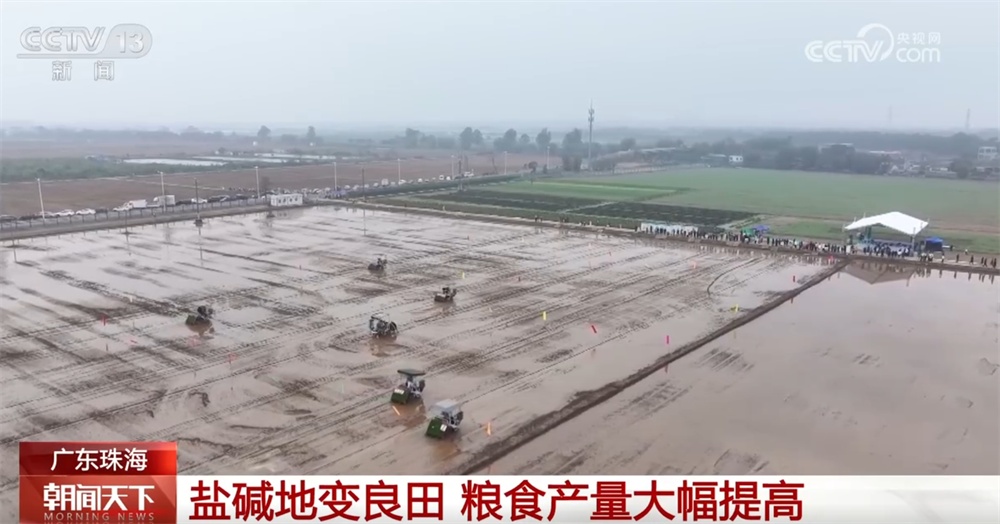 “良种+良法+良技”让盐碱地变良田 希望的田野绘就好“丰”景