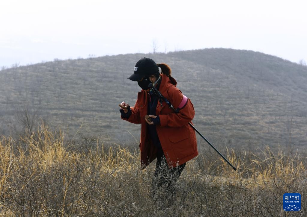 辽宁朝阳:调查红山文化遗迹 辽宁朝阳:调查红山文化遗迹