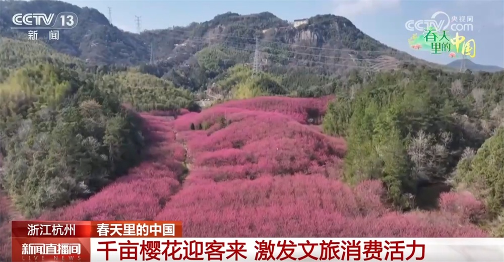 春天里的中国万物蓬勃绘就锦绣画卷 特色文旅展“新”颜 春天里的中国万物蓬勃绘就锦绣画卷 特色文旅展“新”颜