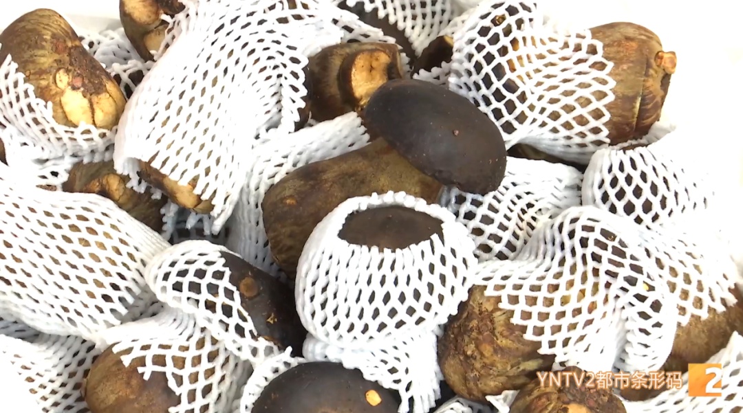 价格近乎“腰斩”!这类菌子正在热销 价格近乎“腰斩”!这类菌子正在热销