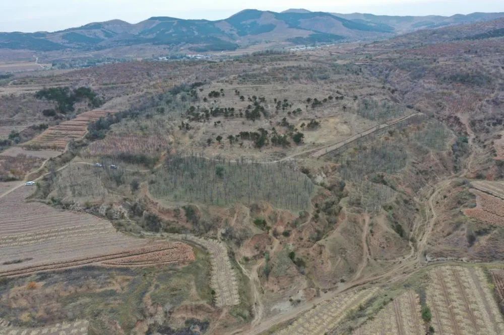 辽宁朝阳有新发现！