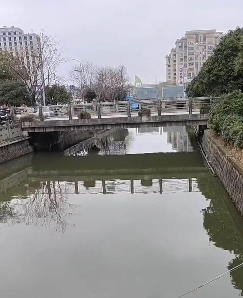 痛心消息传来!她永远离开了,年仅19岁… 痛心消息传来!她永远离开了,年仅19岁…