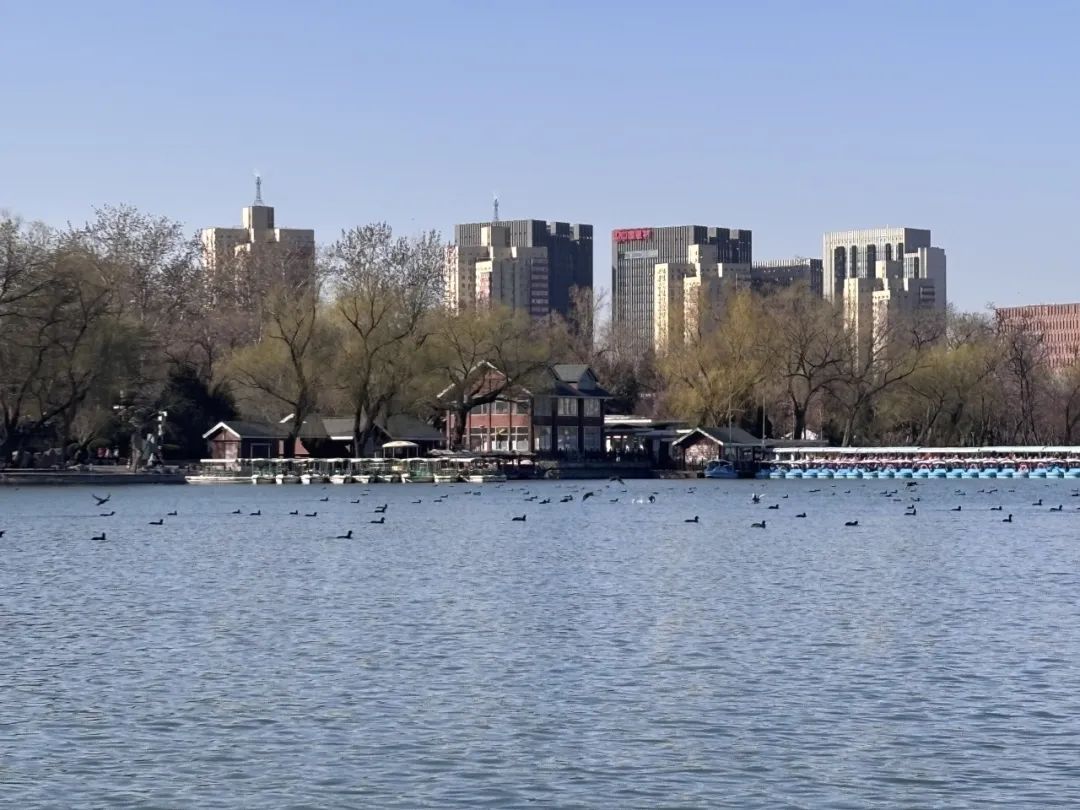 春和景明，荡起“双桨”！北京5家市属公园游船开航