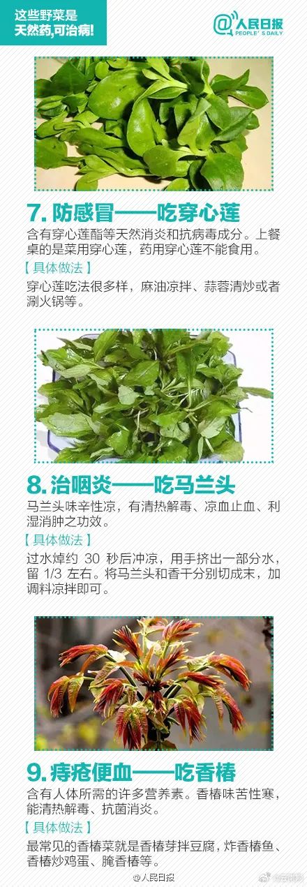 警惕！误采误食可能危及生命，云南发布安全提示