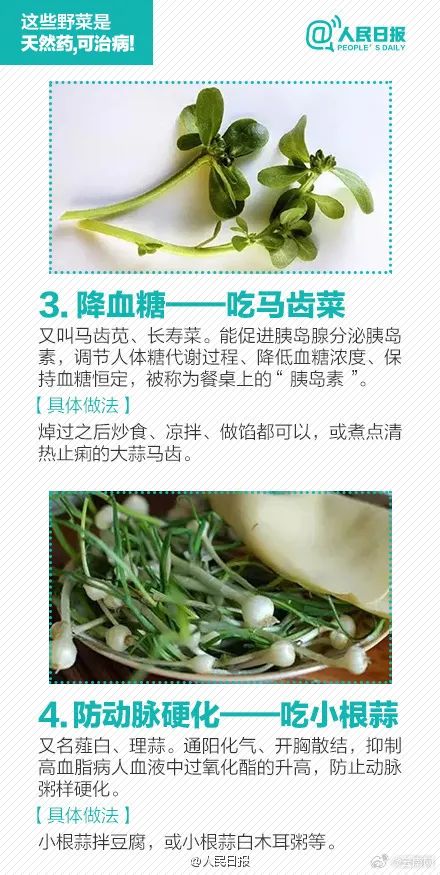 警惕！误采误食可能危及生命，云南发布安全提示