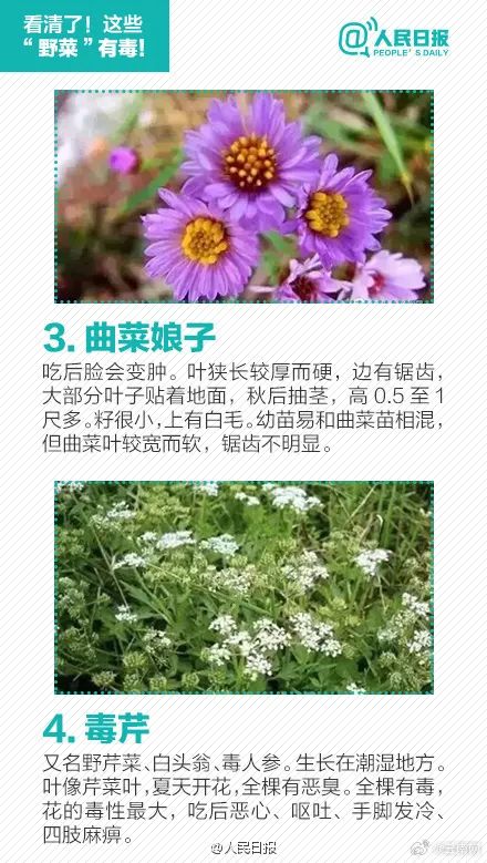 警惕！误采误食可能危及生命，云南发布安全提示