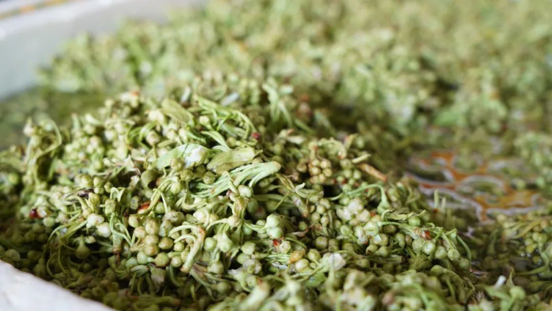 春菜抢占C位 又到把春天吃进嘴里的时节