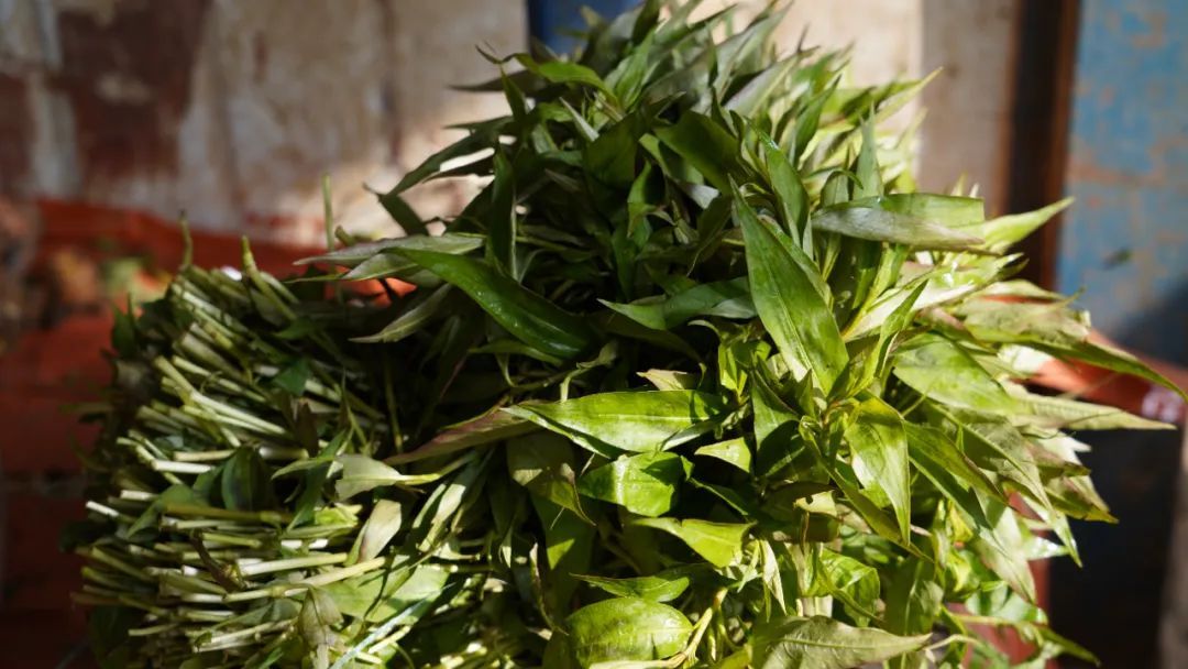 春菜抢占C位 又到把春天吃进嘴里的时节