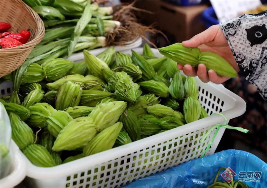 警惕！误采误食可能危及生命，云南发布安全提示