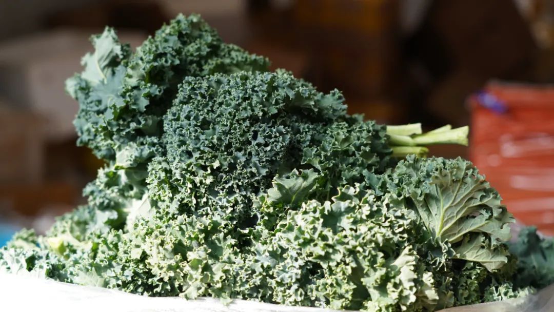 春菜抢占C位 又到把春天吃进嘴里的时节