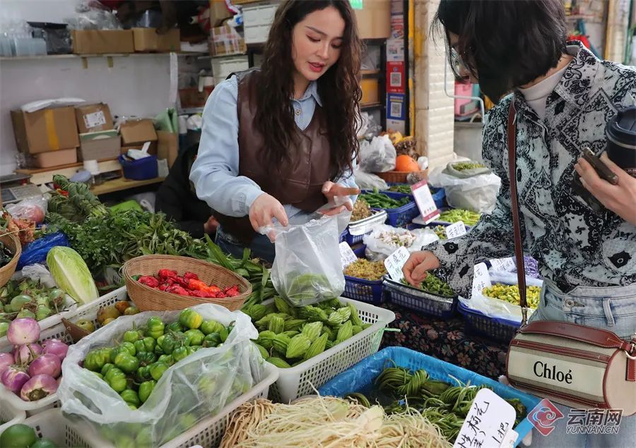 警惕！误采误食可能危及生命，云南发布安全提示