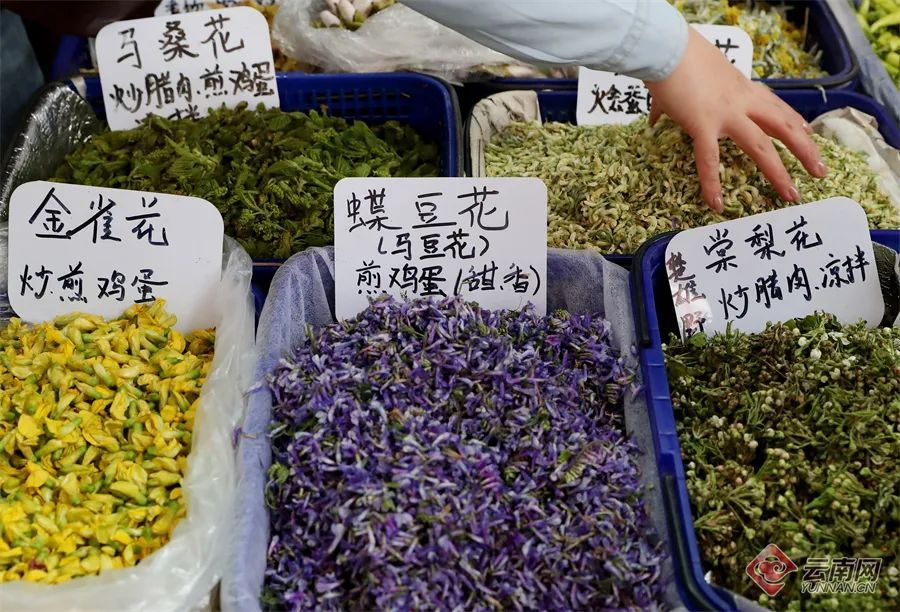 警惕！误采误食可能危及生命，云南发布安全提示