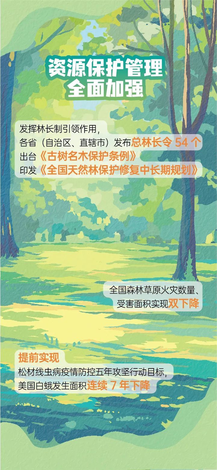 全球增绿最多!我国森林覆盖率超25% 全球增绿最多!我国森林覆盖率超25%