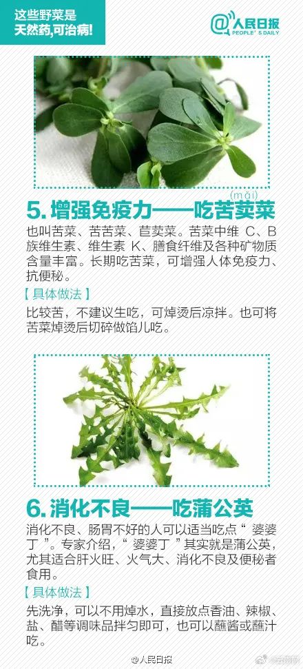 警惕！误采误食可能危及生命，云南发布安全提示