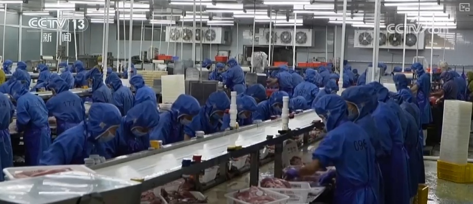 小城留人、技术岗领跑、AI热潮……透过关键词看就业市场供需两旺