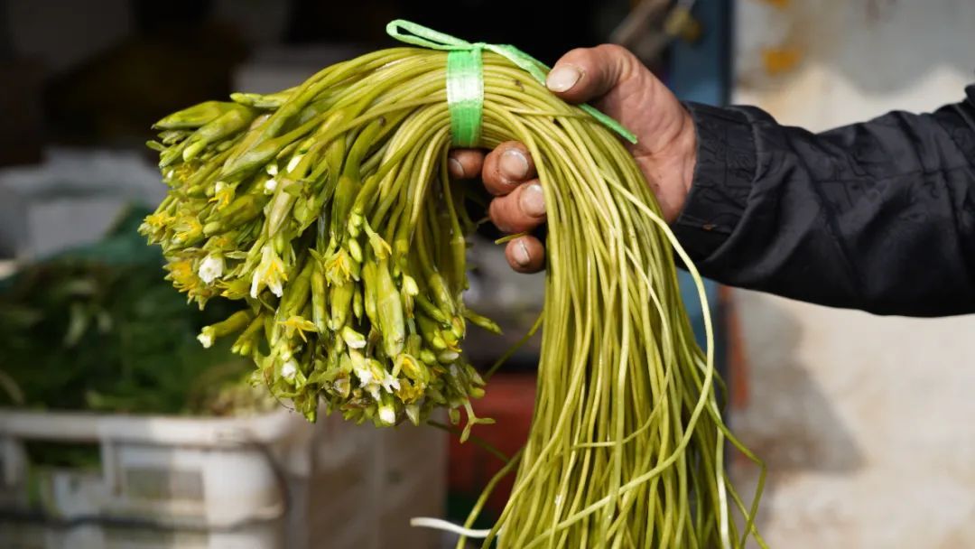 春菜抢占C位 又到把春天吃进嘴里的时节