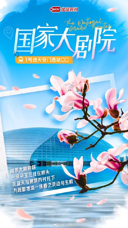 乘着地铁赏春花 |玉兰绽放!开启京城最美春色 乘着地铁赏春花 |玉兰绽放!开启京城最美春色