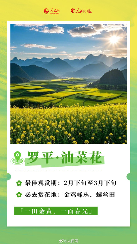 转发收藏！2025年春日赏花时间表
