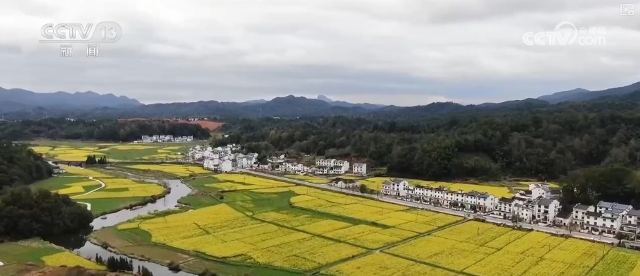 花样文旅“圈粉”引客来 “追花游”点亮旅游市场“多彩”引擎