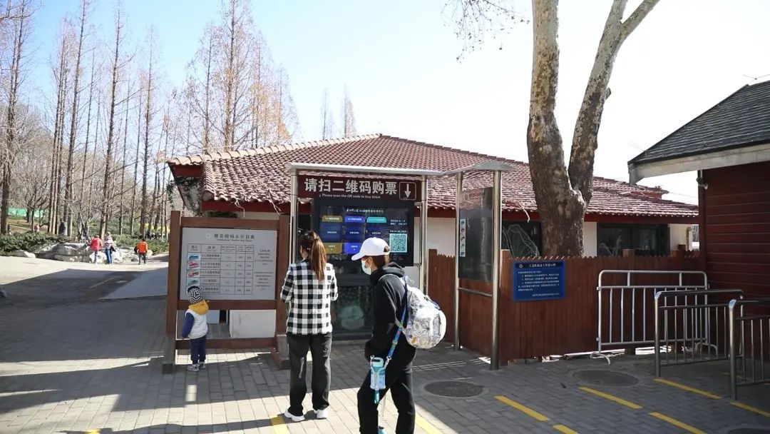 玉渊潭公园樱花季时间定了! 玉渊潭公园樱花季时间定了!