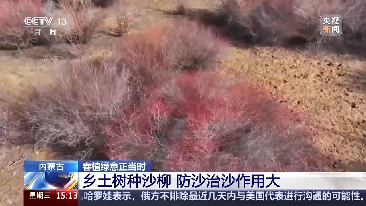 无人机“种草”、机器人植树 这份“治沙攻略”科技感满满