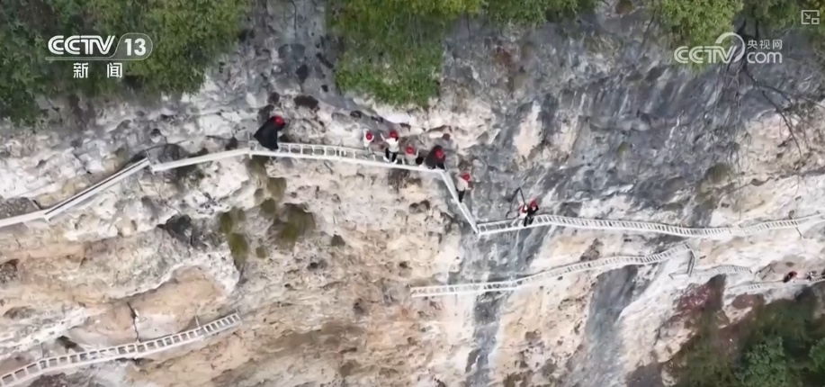 花样文旅“圈粉”引客来 “追花游”点亮旅游市场“多彩”引擎