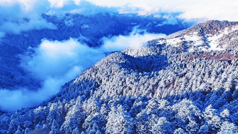 湖北神农架：春雪漫山峦 处处皆诗意