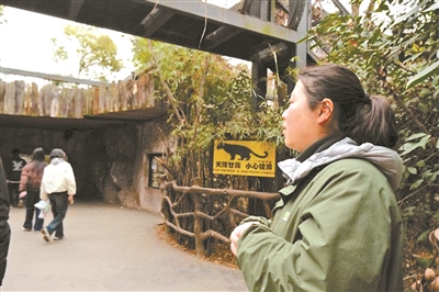 南京红山森林动物园火出圈 饲养员赵媛与“大猫咪”相处斗智斗勇