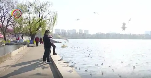 约吗？以后出门打个“公交船”！滇池沿岸拟新增13个码头，就在……