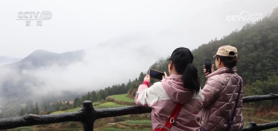 花样文旅“圈粉”引客来 “追花游”点亮旅游市场“多彩”引擎