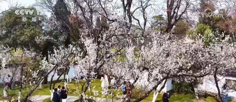 花样文旅“圈粉”引客来 “追花游”点亮旅游市场“多彩”引擎