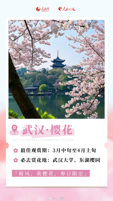 转发收藏！2025年春日赏花时间表