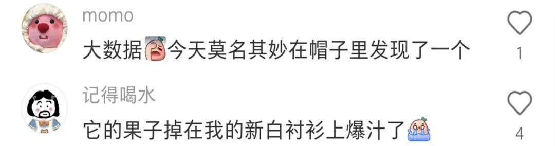 不要踩！不要踩！不要踩！上海街头大量出现，不少人已"中招"…