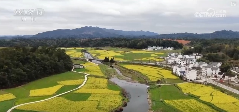 花样文旅“圈粉”引客来 “追花游”点亮旅游市场“多彩”引擎