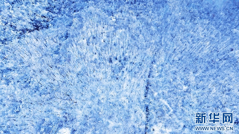 湖北神农架：春雪漫山峦 处处皆诗意