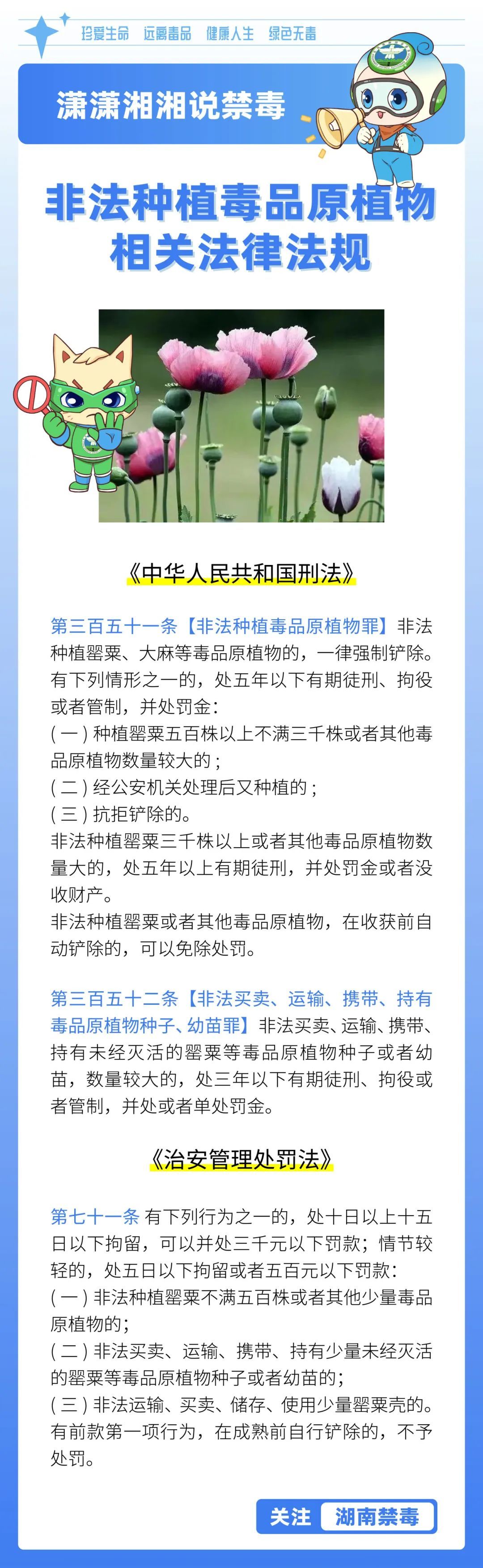 是“毒”不是菜,这种植物你“惹不起”! 是“毒”不是菜,这种植物你“惹不起”!