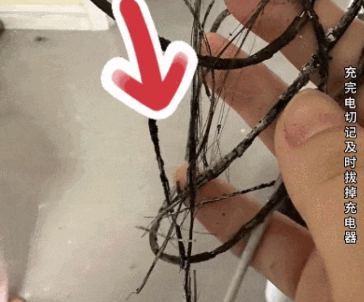 夫妻俩9块9把它买回家，不料把家给烧了！