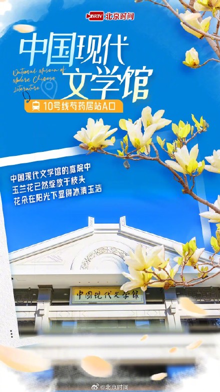乘着地铁赏春花 |玉兰绽放!开启京城最美春色 乘着地铁赏春花 |玉兰绽放!开启京城最美春色